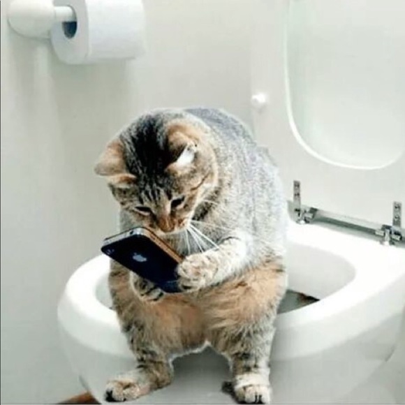 Welcome💕 - Picture 9 of 12